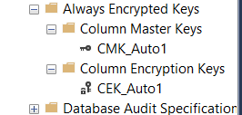 SQL Server Always Encrypted